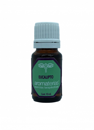 Eucalipto (Eucalyptus globulus)