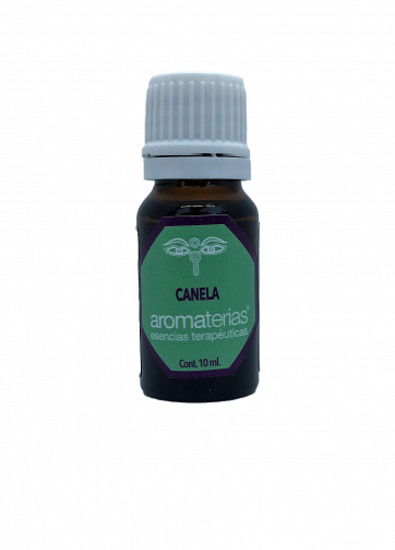 Canela (Cinnamomum verum)