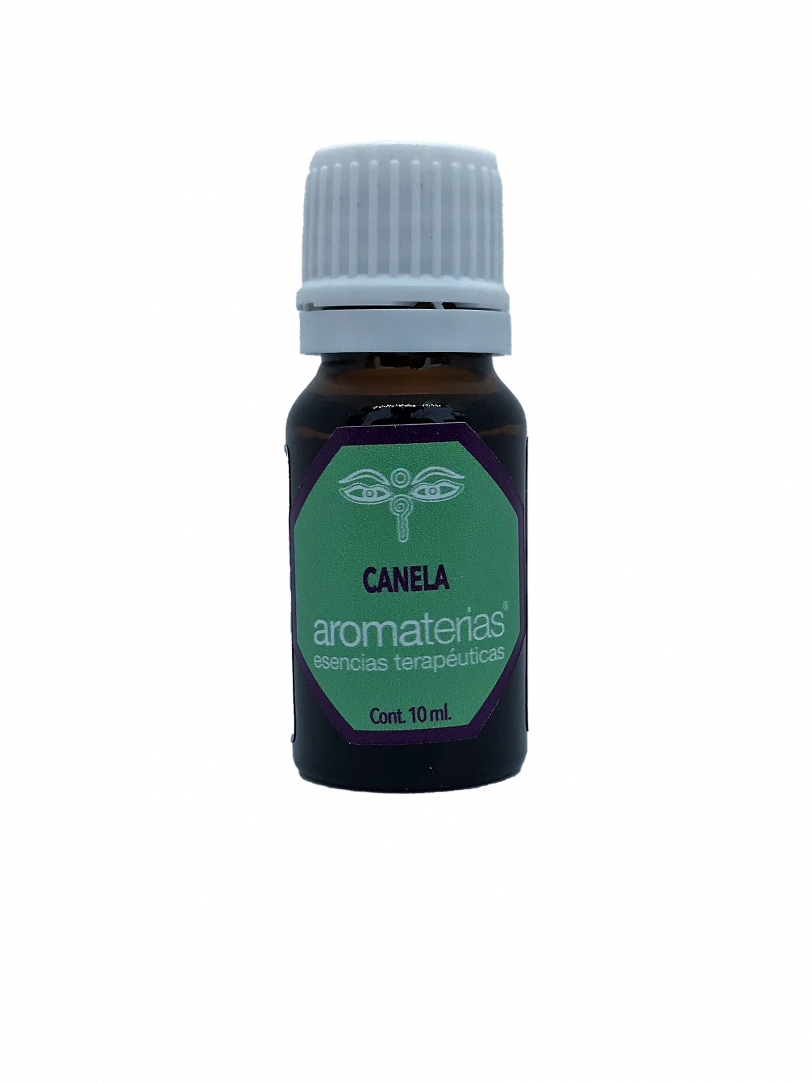 Canela (Cinnamomum verum)