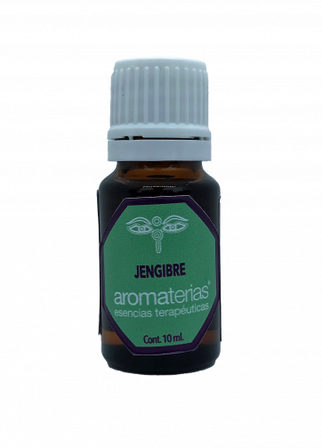 Jengibre ( Zingiber officinale)