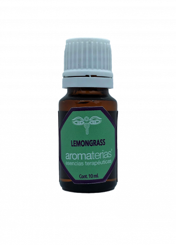 Lemongrass (Cymbopogon citratus)