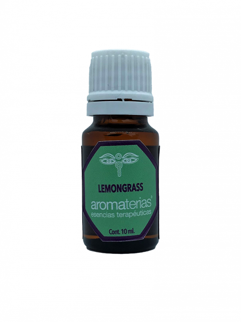 Lemongrass (Cymbopogon citratus)