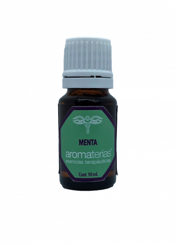 Menta (Mentha piperita)