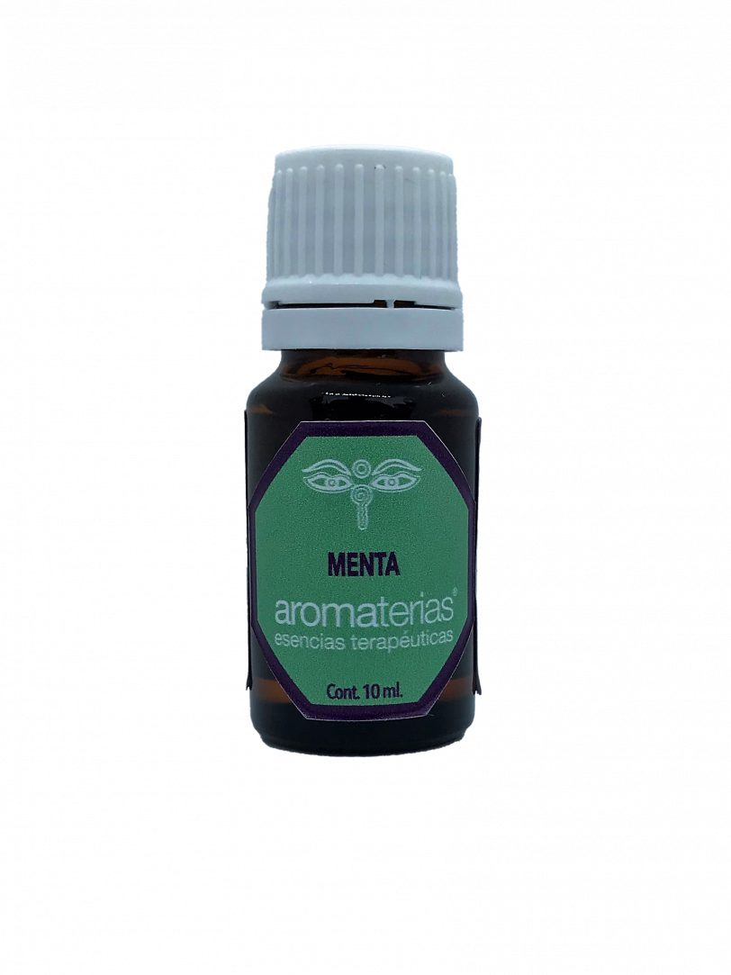 Menta (Mentha piperita)