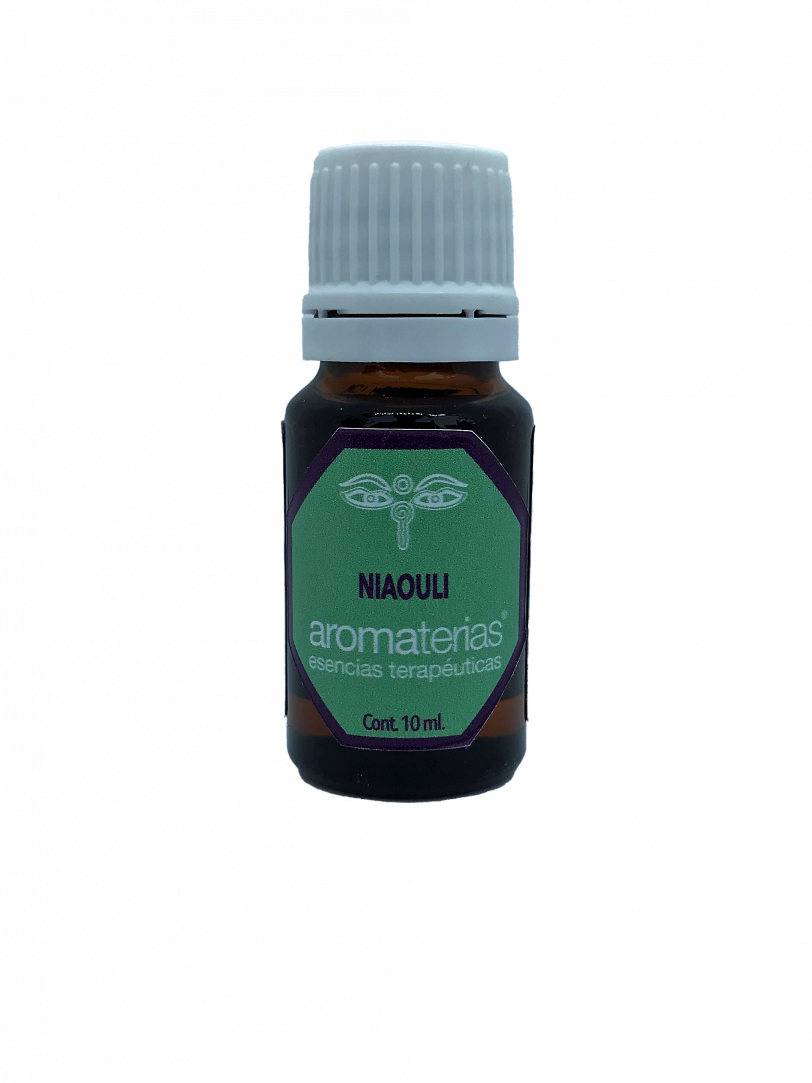 Niaouli (Malaleuca quinquenervia)