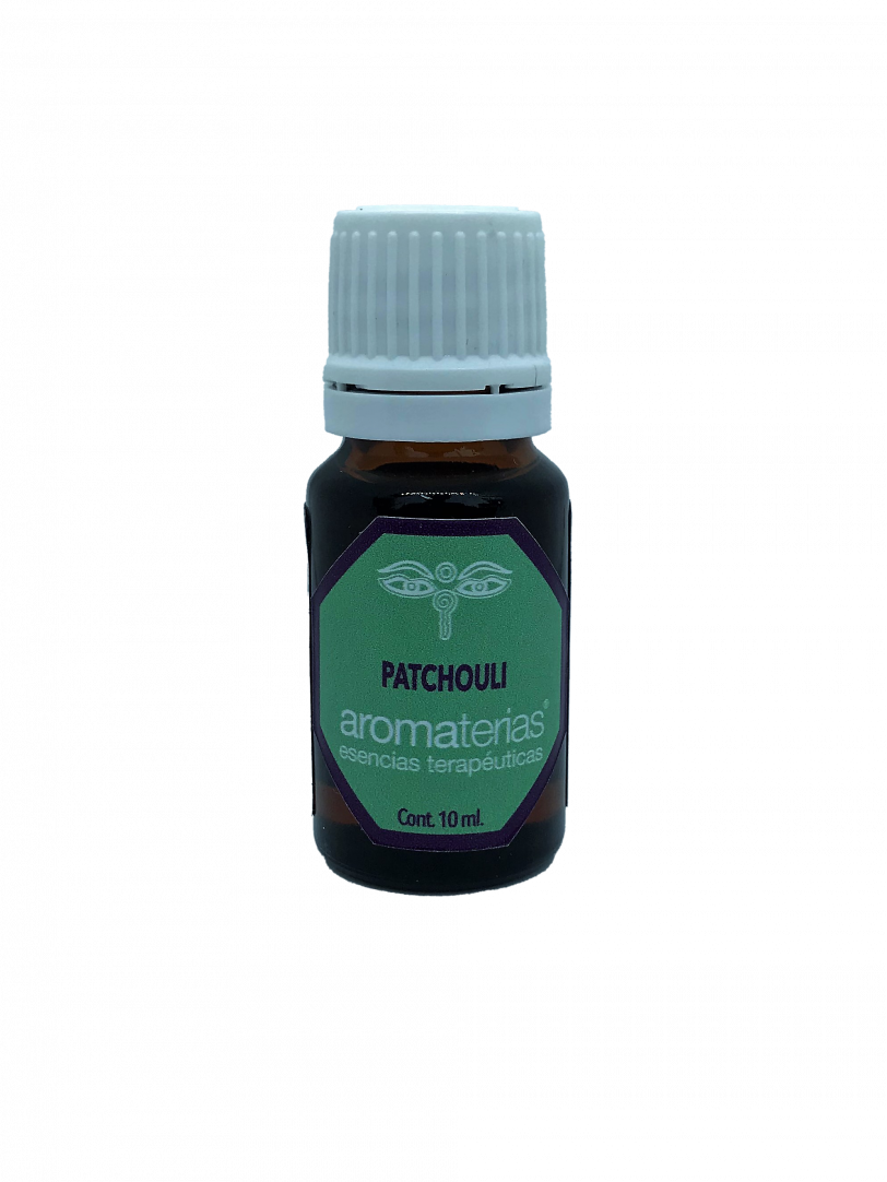 Patchouli (Pogostemos cablin)