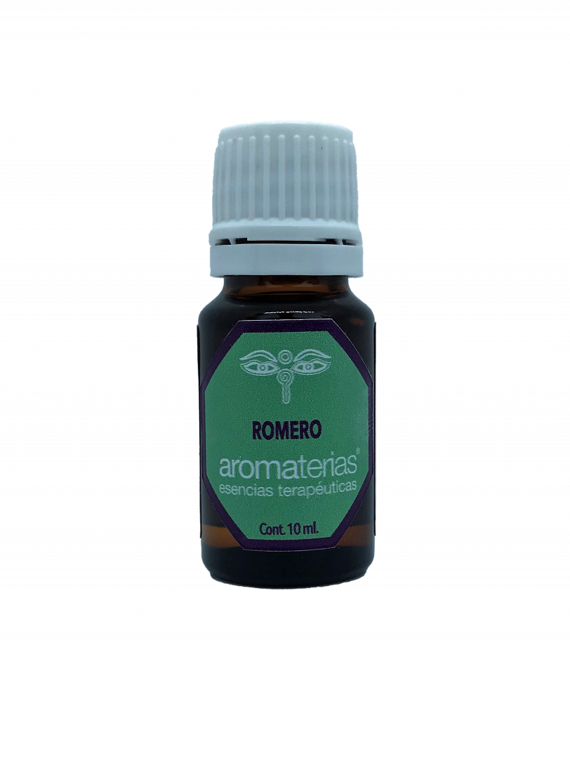 Romero (Rosmarinus officinalis)