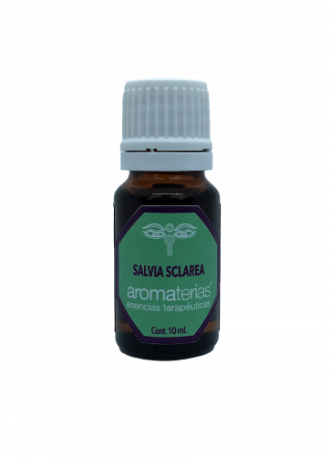 Salvia Sclárea (Salvia sclarea)