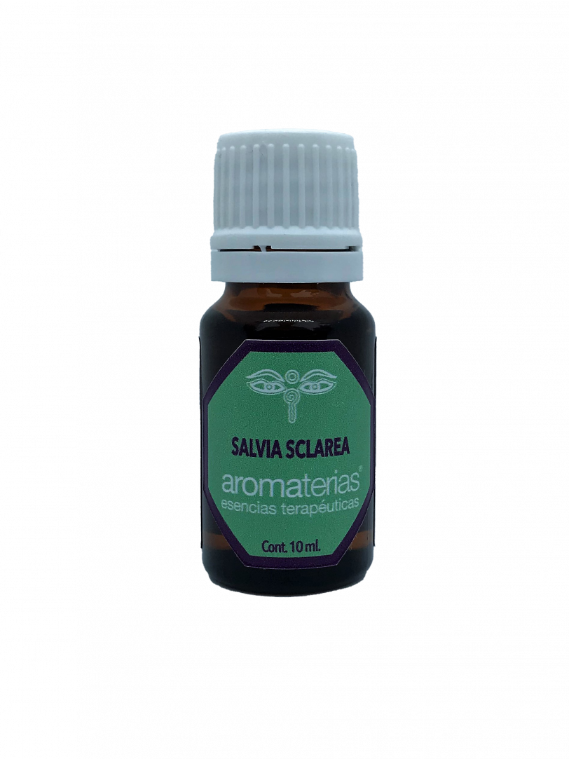 Salvia Sclárea (Salvia sclarea)
