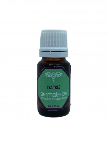 Tea Tree (Malaleuca alternifolia)