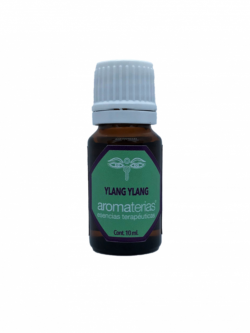 Ylang Ylang (Cananga odorata)